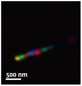 Close-up of two NWs tip. Red now represent emission from the GaAs core (820 nm) of the wire, when blue regions mark the QDs emission (670 nm). Dots at less than 500 nm can be easily resolved. (Specimen temperature : 10 K)