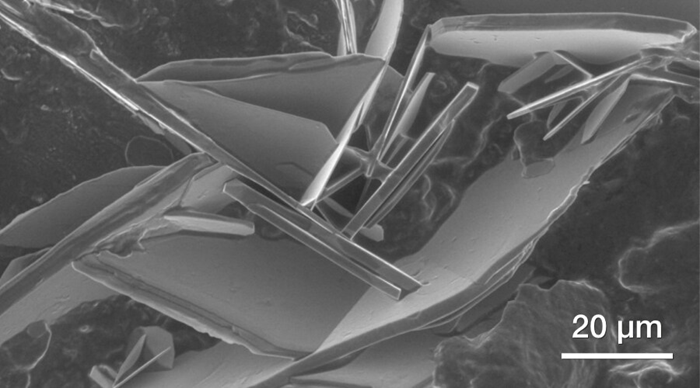 Salts on bacon (ESEM imaging, 700 Pa).