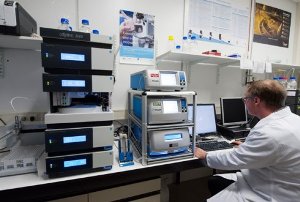 Introducing NANOS, a Cutting-Edge Tabletop SEM