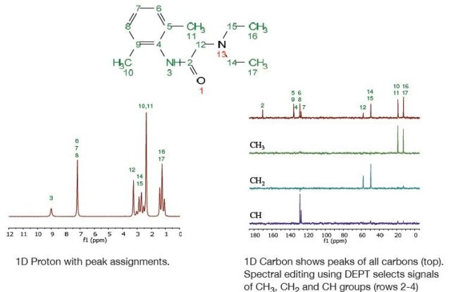 Discover Hound—For Particle Characterization