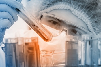 Discover Hound—For Particle Characterization