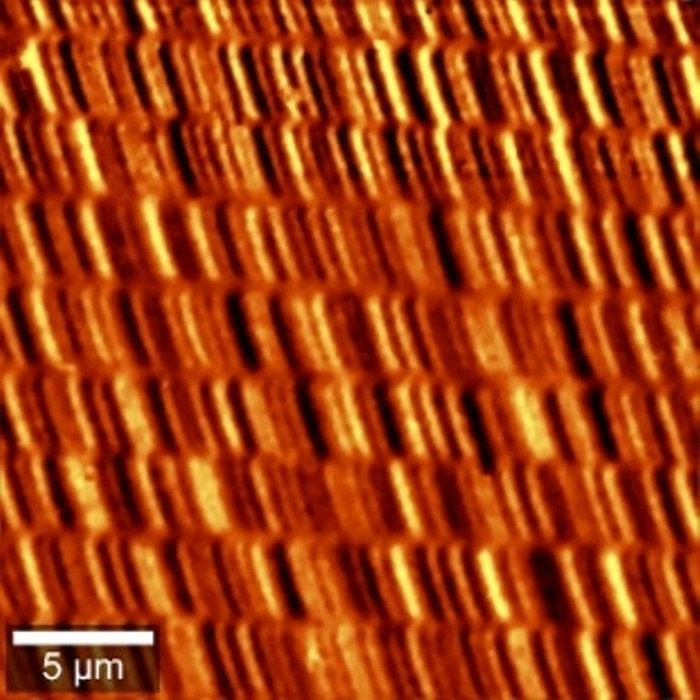 Plastic granulates