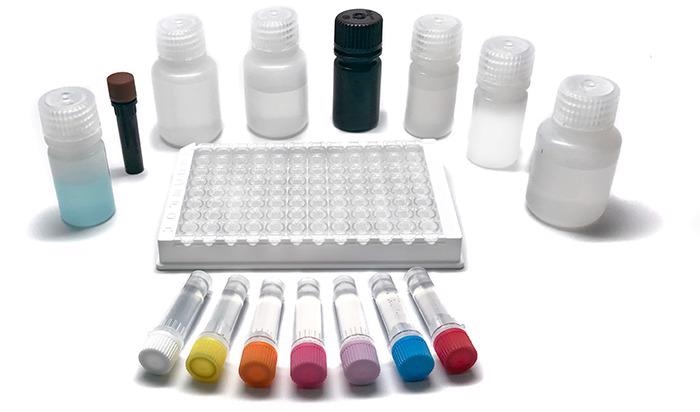 MaxSignal® Ractopamine ELISA Kit.