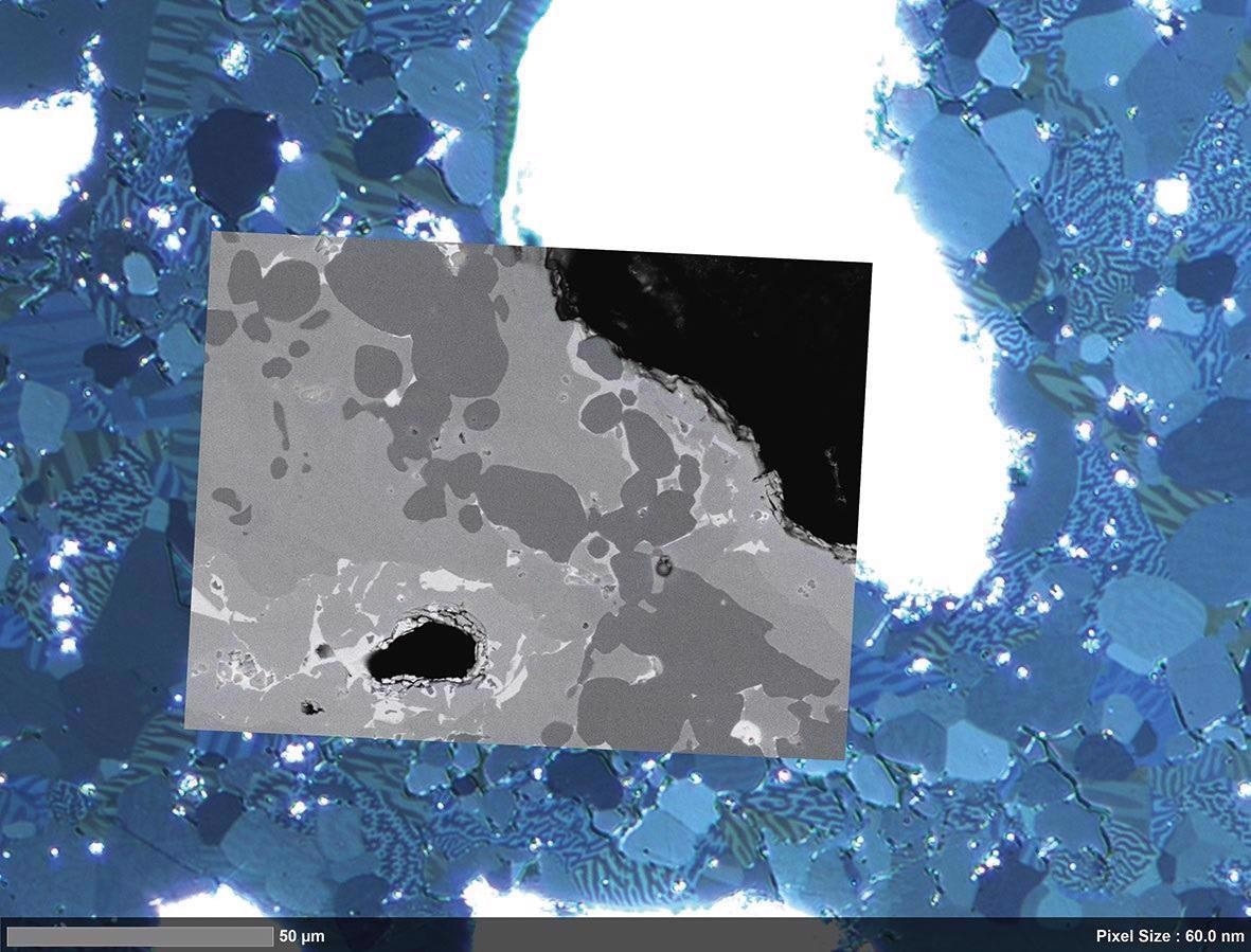 Correlated high-resolution image acquired with ZEISS Sigma 300 VP.