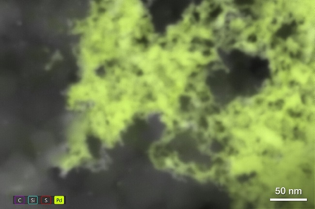Palladium nanoparticles imaged with ColorSEM. Frame time: 30 seconds.