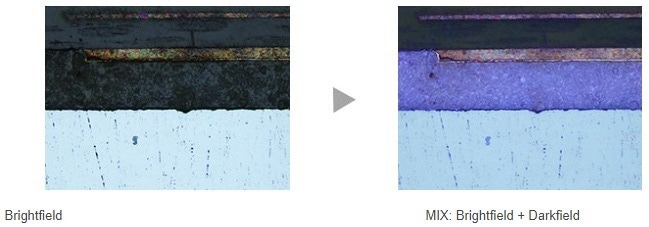 K562 digest, 35 min gradient (≈ 30 Sample per day) dia-PASEF® analysis of a K562 digest. Data processing was performed using PaSER™ with TIMS DIA-NN.