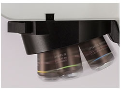 Motorized nosepiece